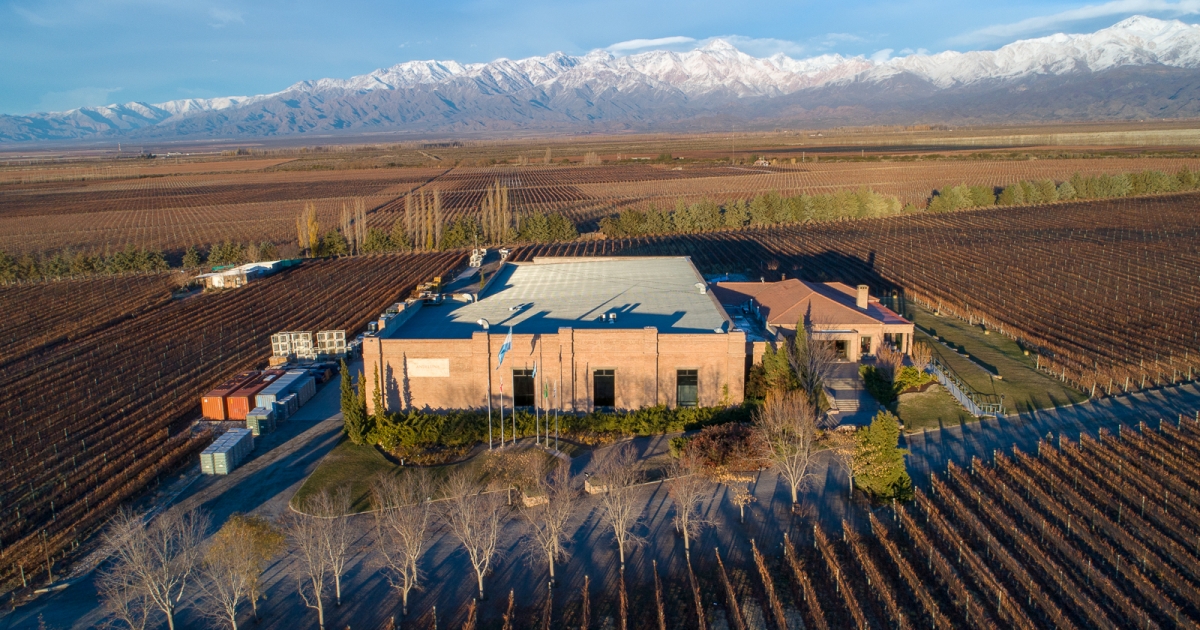 ANDELUNA CELLAR